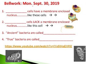 Bellwork Mon Sept 30 2019 1 cells have