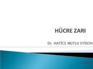 HCRE ZARI Dr HATCE MUTLU EYSON 4 Ksm