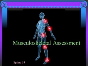 Musculoskeletal Assessment Spring 14 Musculoskeletal System Provides support