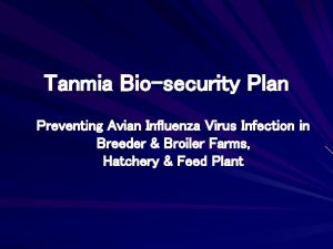 Tanmia Biosecurity Plan Preventing Avian Influenza Virus Infection