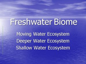 Freshwater Biome Moving Water Ecosystem Deeper Water Ecosystem