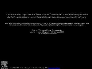 Unmanipulated Haploidentical Bone Marrow Transplantation and Posttransplantation Cyclophosphamide
