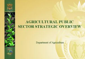 DEPARTMENT AGRICULTURE AGRICULTURAL PUBLIC SECTOR STRATEGIC OVERVIEW Department