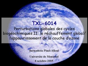 TXL6014 Perturbations globales des cycles biogochimiques II le