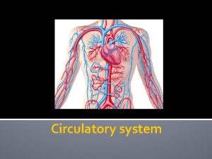 Circulatory system Lets take a close look at