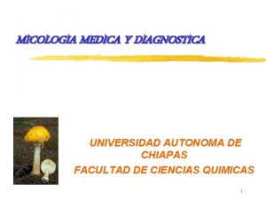 MICOLOGIA MEDICA Y DIAGNOSTICA UNIVERSIDAD AUTONOMA DE CHIAPAS