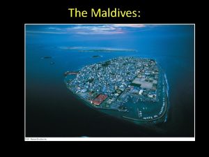 The Maldives Rising seas may flood the Maldives