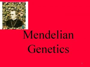 Mendelian Genetics 1 Gregor Mendel The Father of