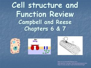 Cell structure and Function Review Campbell and Chapters