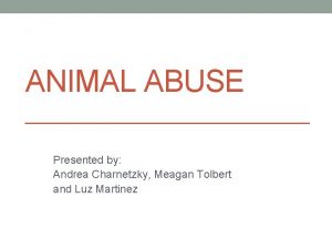 ANIMAL ABUSE Presented by Andrea Charnetzky Meagan Tolbert