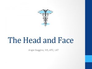 The Head and Face Angie Guggino MS ATC