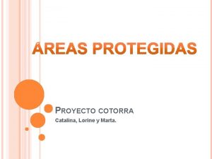 PROYECTO COTORRA Catalina Lorine y Marta REA PROTEGIDA