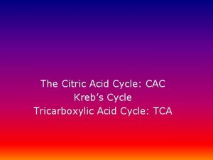 The Citric Acid Cycle CAC Krebs Cycle Tricarboxylic