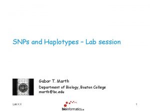 SNPs and Haplotypes Lab session Gabor T Marth