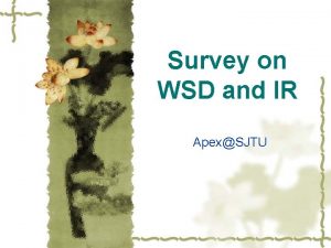 Survey on WSD and IR ApexSJTU WSD Introduction