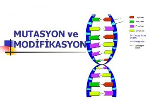 MUTASYON ve MODFKASYON MUTASYON n MUTASYON DNA diziliminde