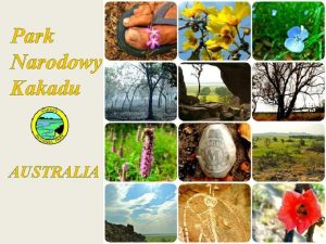 Park Narodowy Kakadu AUSTRALIA Nrodn park Kakadu AUSTRLIE