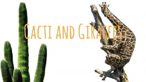 Cacti and Giraffes Cacti Cactaceae Location Mainly in