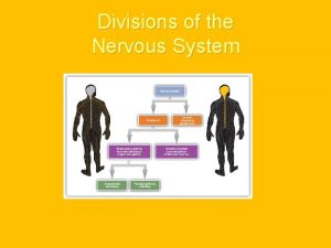 Divisions of the Nervous System Divisions of the