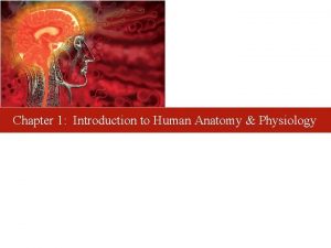 Chapter 1 Introduction to Human Anatomy Physiology Anatomy