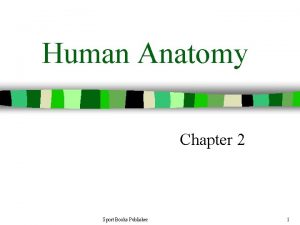 Human Anatomy Chapter 2 Sport Books Publisher 1