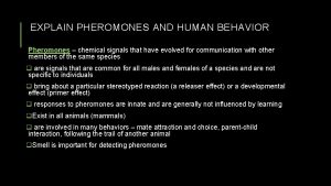 EXPLAIN PHEROMONES AND HUMAN BEHAVIOR Pheromones chemical signals