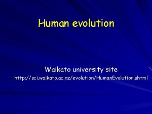 Human evolution Waikato university site http sci waikato