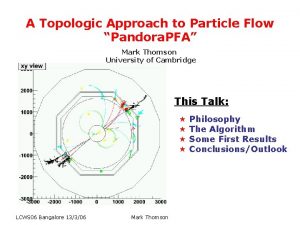 A Topologic Approach to Particle Flow Pandora PFA