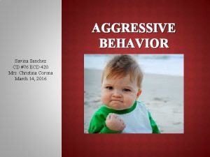 AGGRESSIVE BEHAVIOR Savina Sanchez CD 76 ECD 420