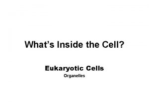 Whats Inside the Cell Eukaryotic Cells Organelles Cell