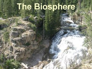 The Biosphere ECOLOGY The Biosphere I Life in