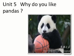 Unit 5 Why do you like pandas We