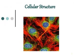 Cellular Structure 1 Cell Theory The cell theory