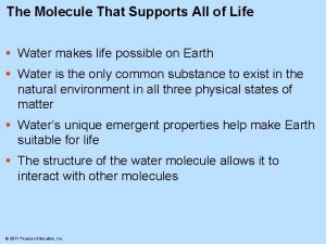 The Molecule That Supports All of Life Water