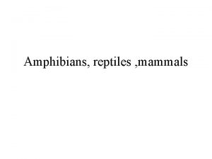 Amphibians reptiles mammals Frogs and other amphibians have
