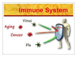 Immune System Immune System A body system to