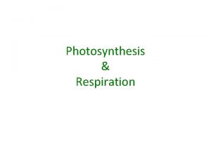 Photosynthesis Respiration 1 Photosynthesis What is Photosynthesis Youve