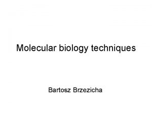Molecular biology techniques Bartosz Brzezicha In a microtube