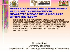 NEWCASTLE DISEASE VIRUS MAINTENANCE IN VILLAGE CHICKENHOW DOES