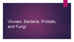 Viruses Bacteria Protists and Fungi Key Questions What