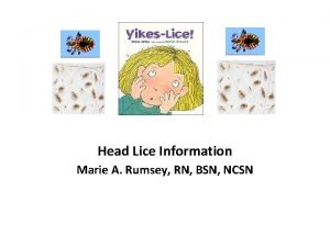 Head Lice Information Marie A Rumsey RN BSN