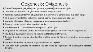 Oogenesis Ovigenesis reme faaliyetinin gereklemesi gamet diierkek retimine