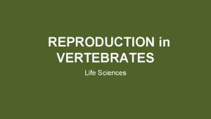 REPRODUCTION in VERTEBRATES Life Sciences Life Sciences Key
