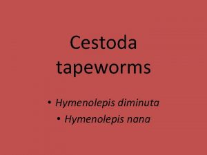 Cestoda tapeworms Hymenolepis diminuta Hymenolepis nana General characters