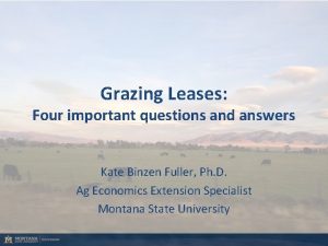 Grazing Leases Four important questions and answers Kate