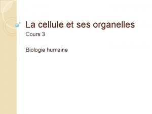 La cellule et ses organelles Cours 3 Biologie