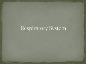 Respiratory System Functions of the Respiratory System Brings