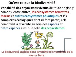 Questce que la biodiversit Variabilit des organismes vivants