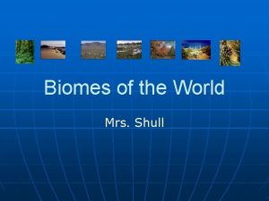 Biomes of the World Mrs Shull Biome n