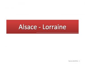 Alsace Lorraine Fabrice ANDRIEU 1 LAlsace Le vignoble